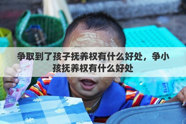 争取到了孩子抚养权有什么好处，争小孩抚养权有什么好处