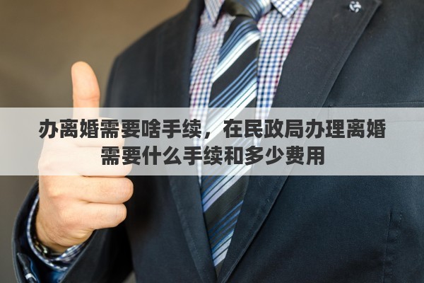 办离婚需要啥手续，在民政局办理离婚需要什么手续和多少费用