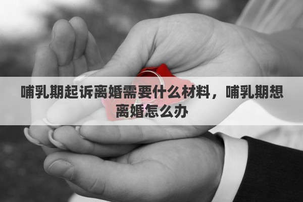 哺乳期起诉离婚需要什么材料，哺乳期想离婚怎么办