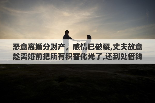 恶意离婚分财产，感情已破裂,丈夫故意趁离婚前把所有积蓄化光了,还到处借钱,离婚时怎么分家产