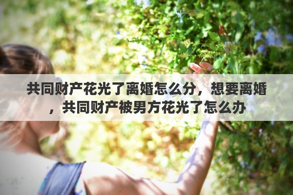 共同财产花光了离婚怎么分，想要离婚，共同财产被男方花光了怎么办