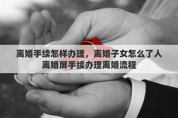 离婚手续怎样办理，离婚子女怎么了人离婚屏手续办理离婚流程