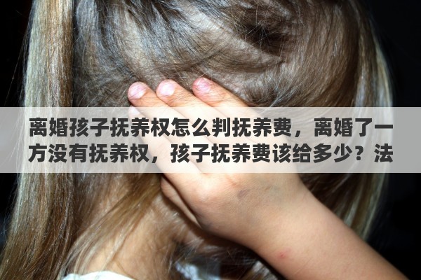 离婚孩子抚养权怎么判抚养费，离婚了一方没有抚养权，孩子抚养费该给多少？法律是如何规定的