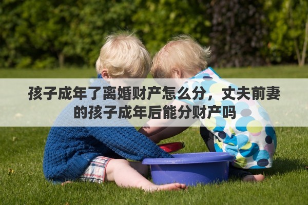 孩子成年了离婚财产怎么分，丈夫前妻的孩子成年后能分财产吗