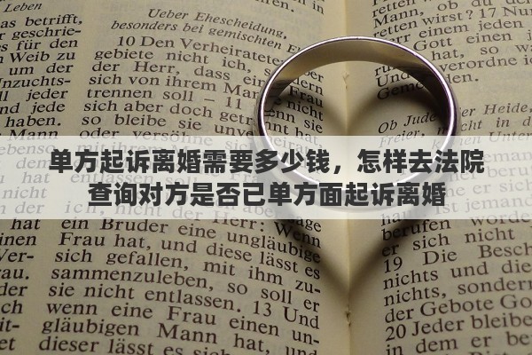 单方起诉离婚需要多少钱，怎样去法院查询对方是否已单方面起诉离婚