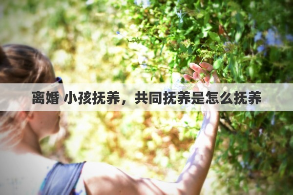 离婚 小孩抚养，共同抚养是怎么抚养
