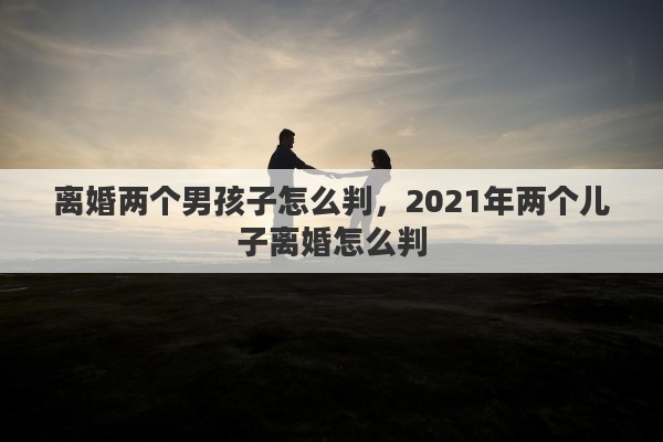 离婚两个男孩子怎么判，2021年两个儿子离婚怎么判
