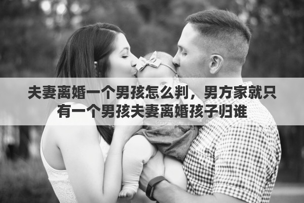 夫妻离婚一个男孩怎么判，男方家就只有一个男孩夫妻离婚孩子归谁