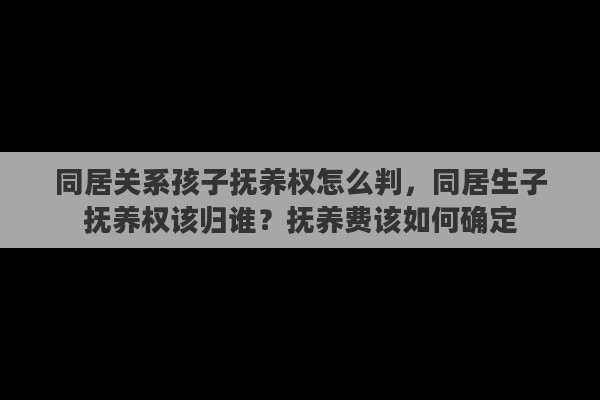 同居关系孩子抚养权怎么判，同居生子抚养权该归谁？抚养费该如何确定