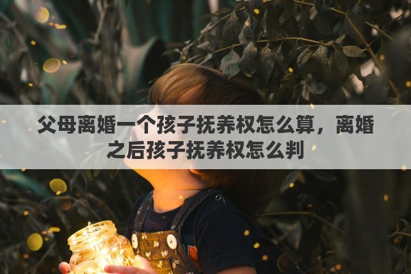 父母离婚一个孩子抚养权怎么算，离婚之后孩子抚养权怎么判