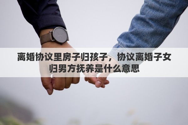 离婚协议里房子归孩子，协议离婚子女归男方抚养是什么意思