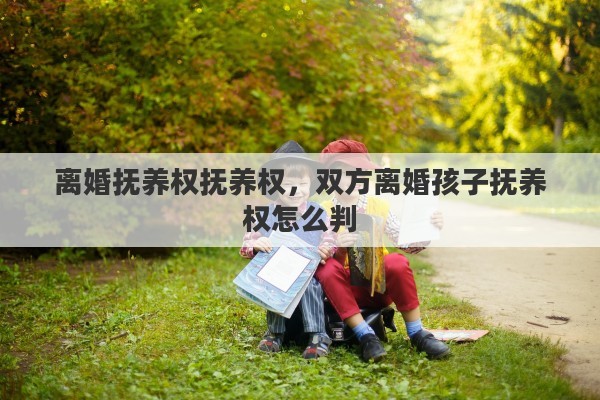 离婚抚养权抚养权，双方离婚孩子抚养权怎么判
