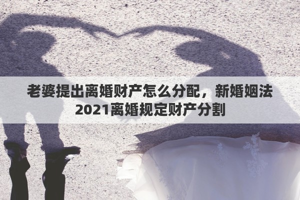 老婆提出离婚财产怎么分配，新婚姻法2021离婚规定财产分割